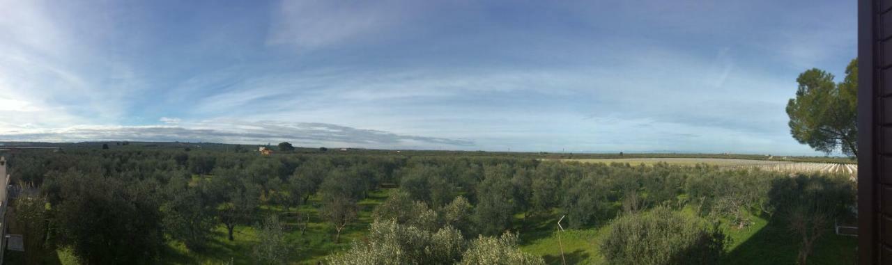Farm Agriturismo Masseria Chiusurella Villa Corato Eksteriør billede